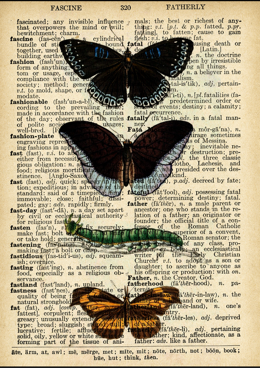 Vintage Butterflies poster