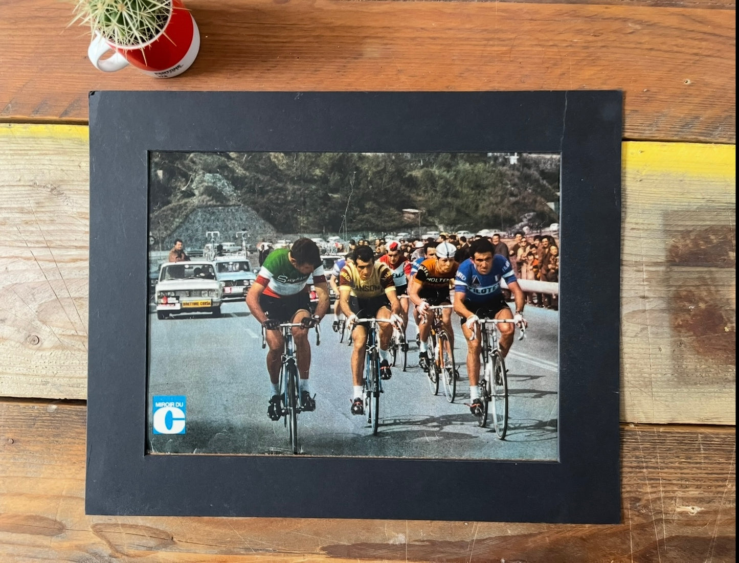 Vintage Tour de France vintage cycling poster