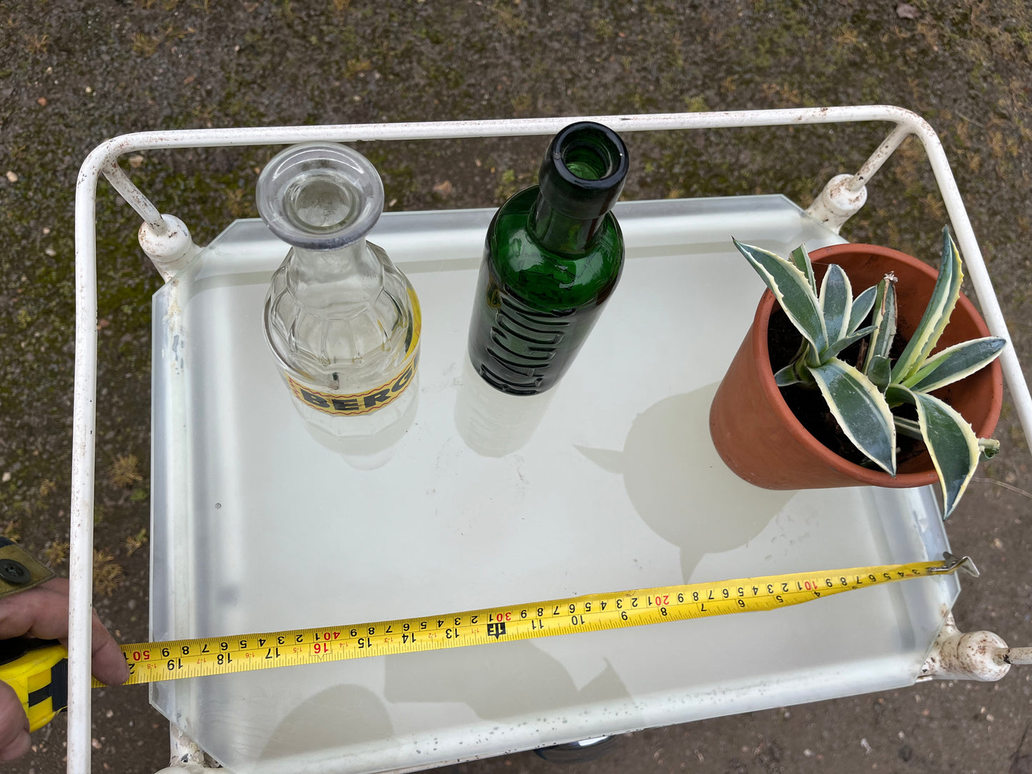 1950s medical cabinet by Edwards surgical Ltd