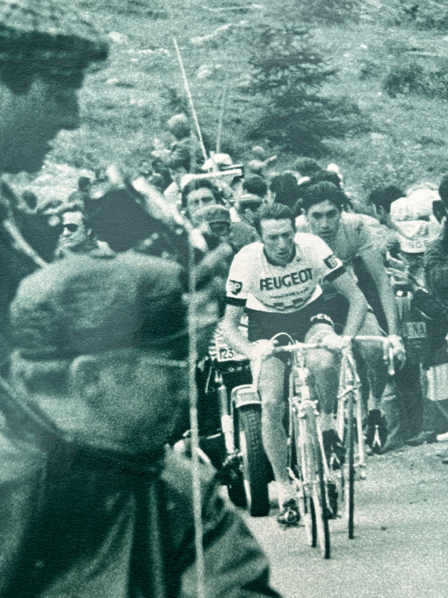 Eddy Merckx vintage cycling print 1970