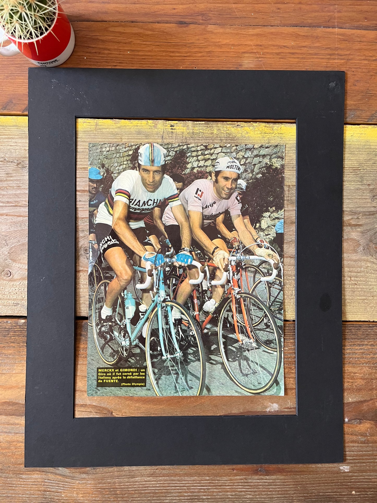 vintage cycling print Eddy Merckx Felice Gimondi