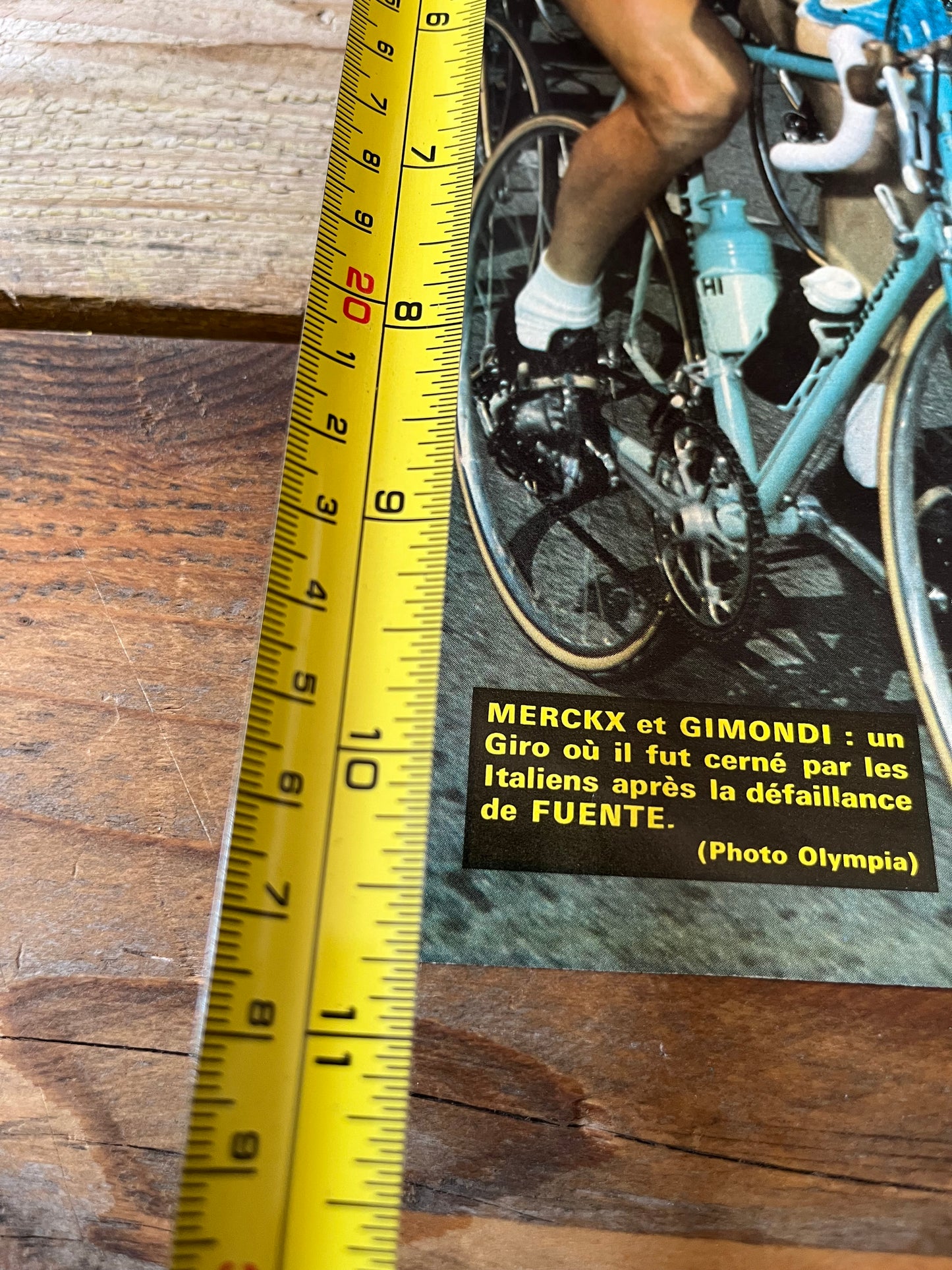 vintage cycling print Eddy Merckx Felice Gimondi