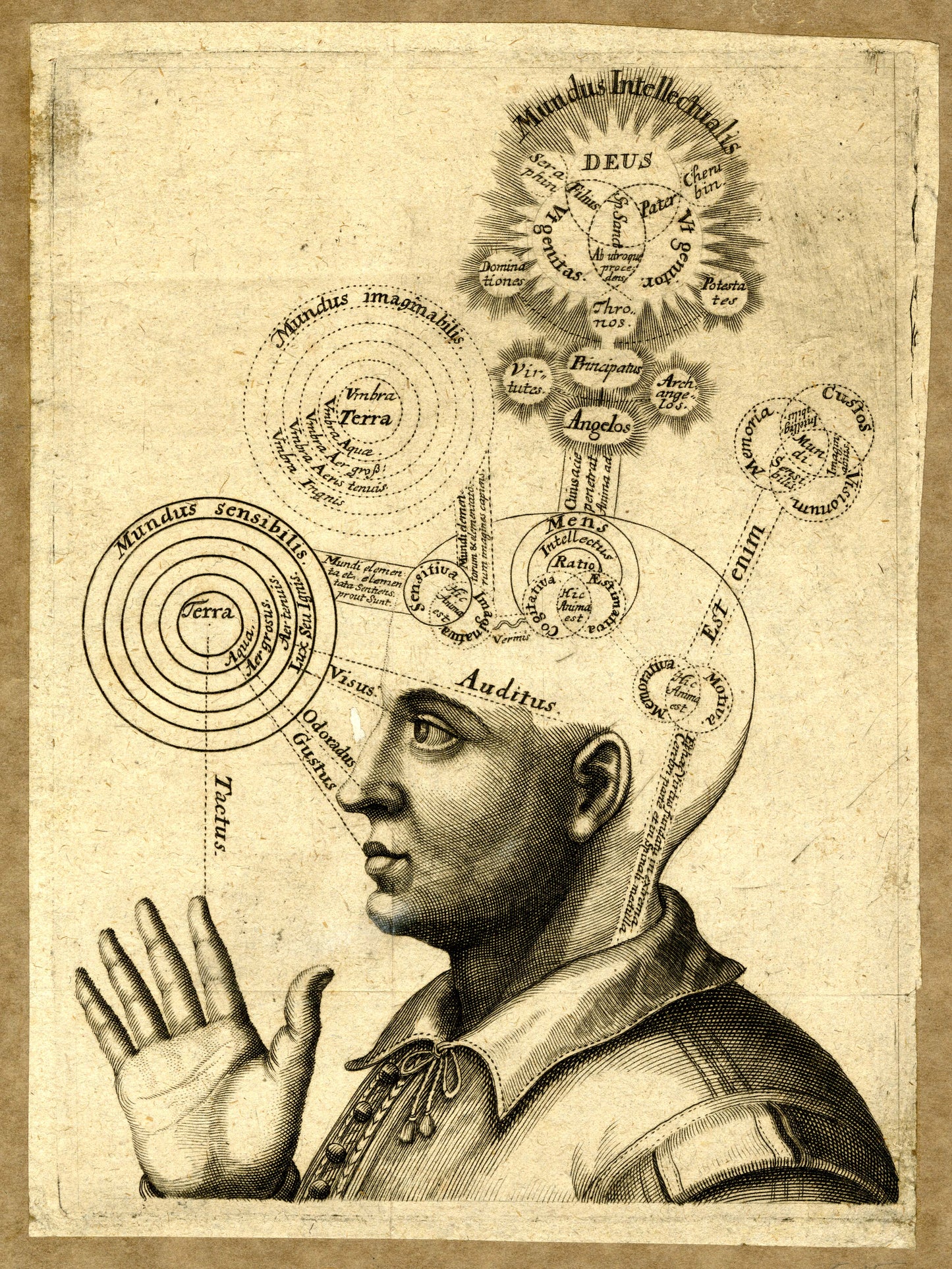 Renaissance philosophy / Theology diagram c17th
