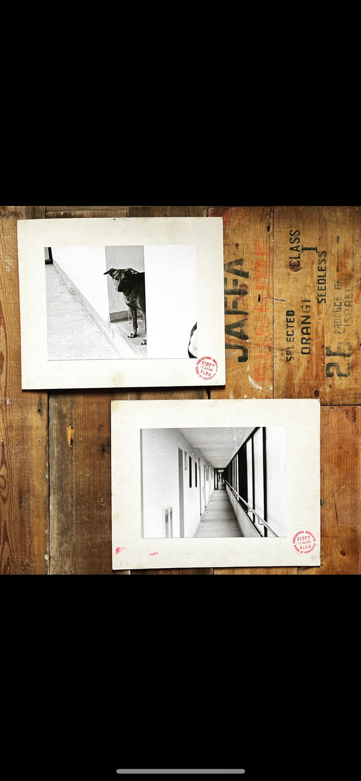 Vintage black / white photograph 1973 School of Architecture