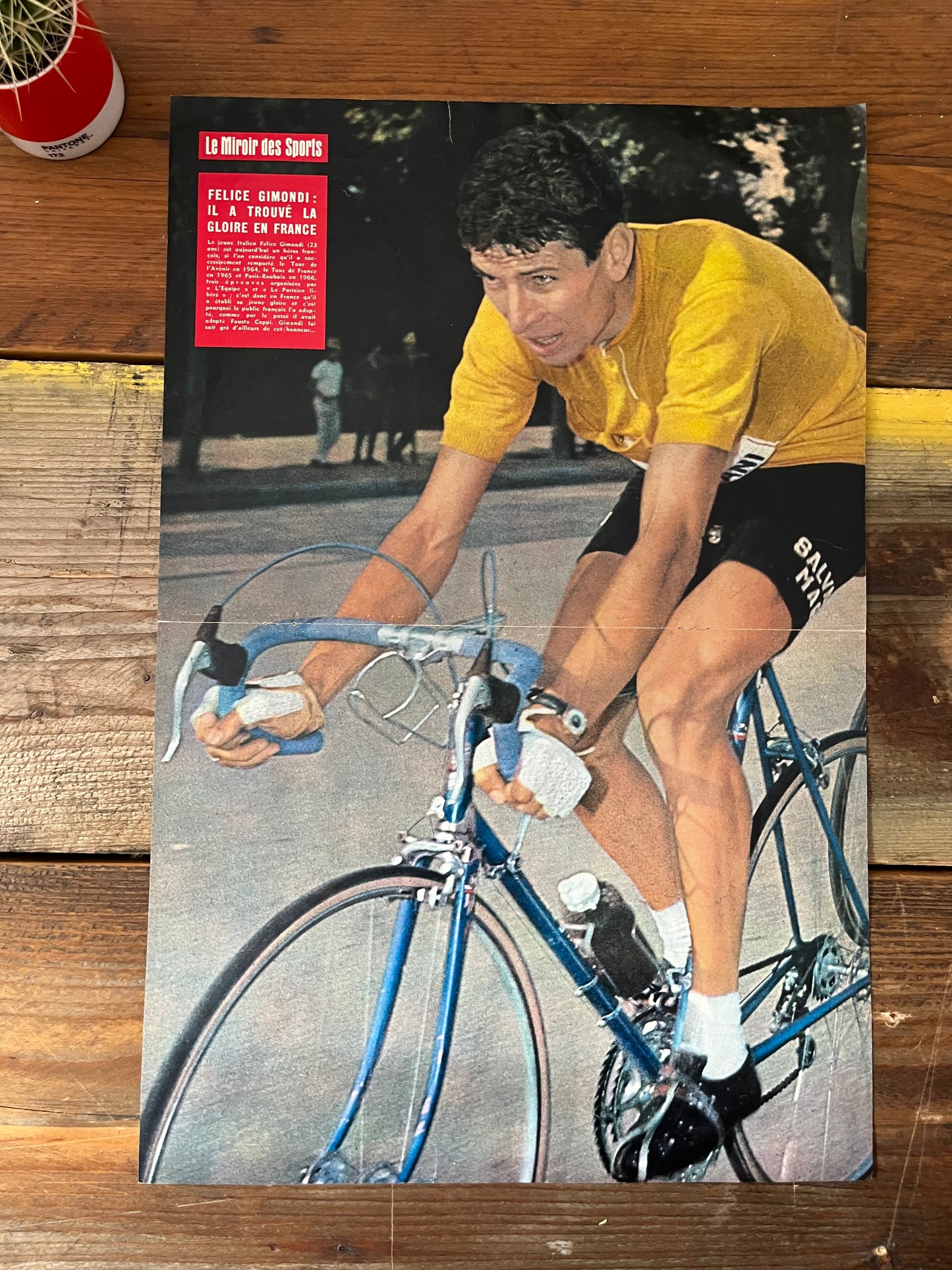 Felice Gimondi vintage cycling poster - 1966
