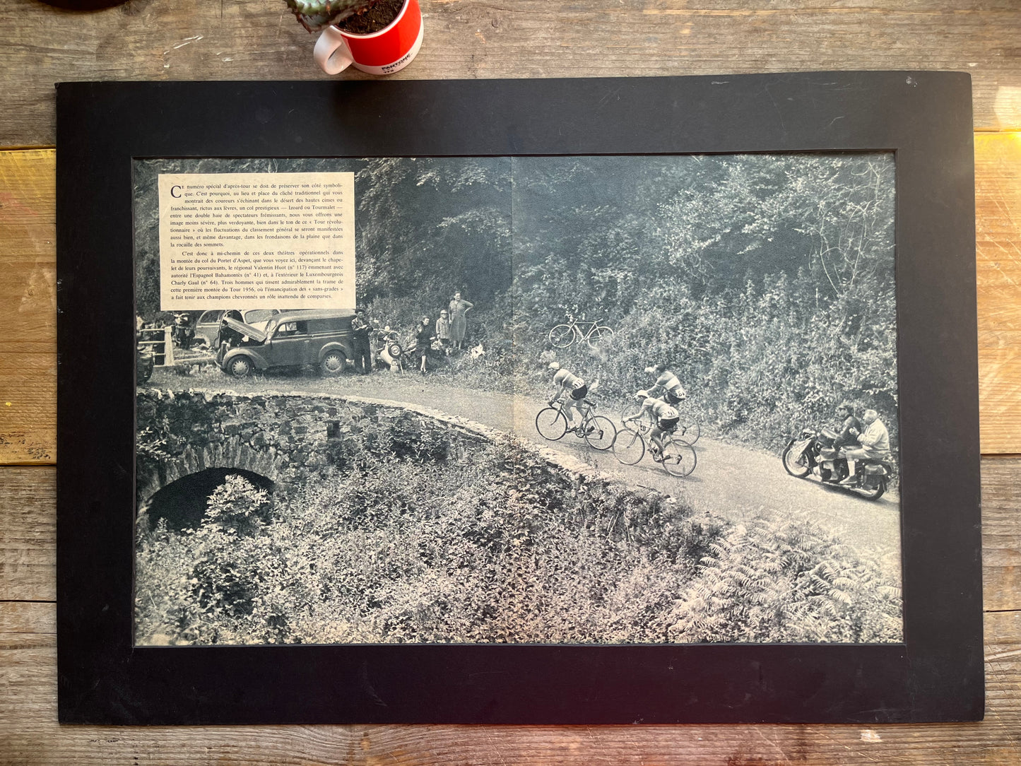 Tour de France vintage print c1959 Gaul / Bahamontes