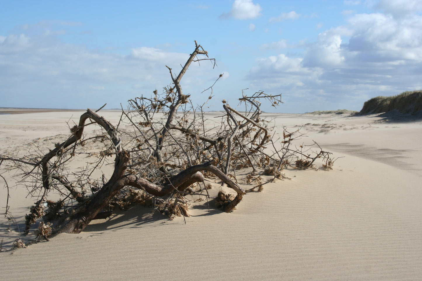 Original Photography - After the Storm