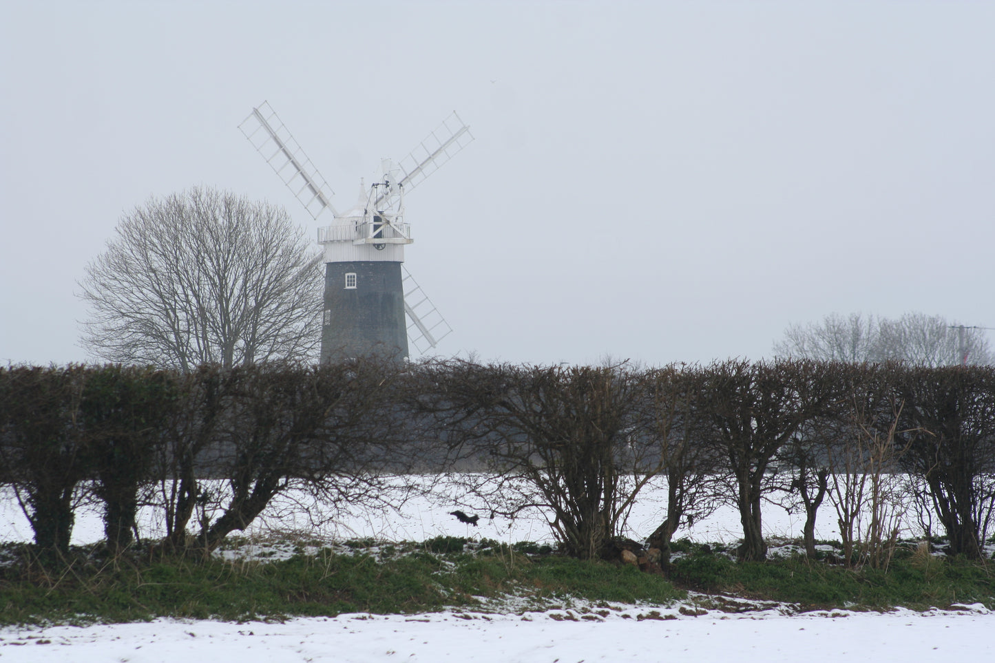Original Photography - Working Windmill