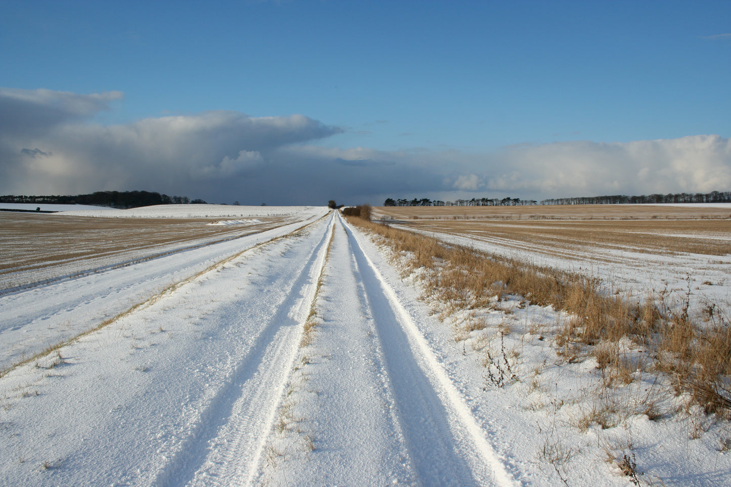 Original Photography - Norfolk Railway Line