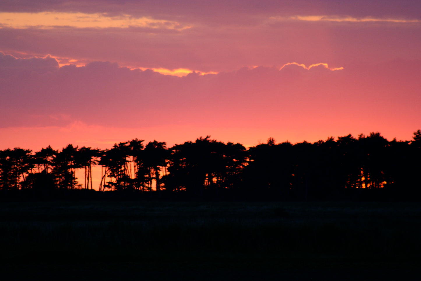 Original Photography - Tomorrow Will be Fine!