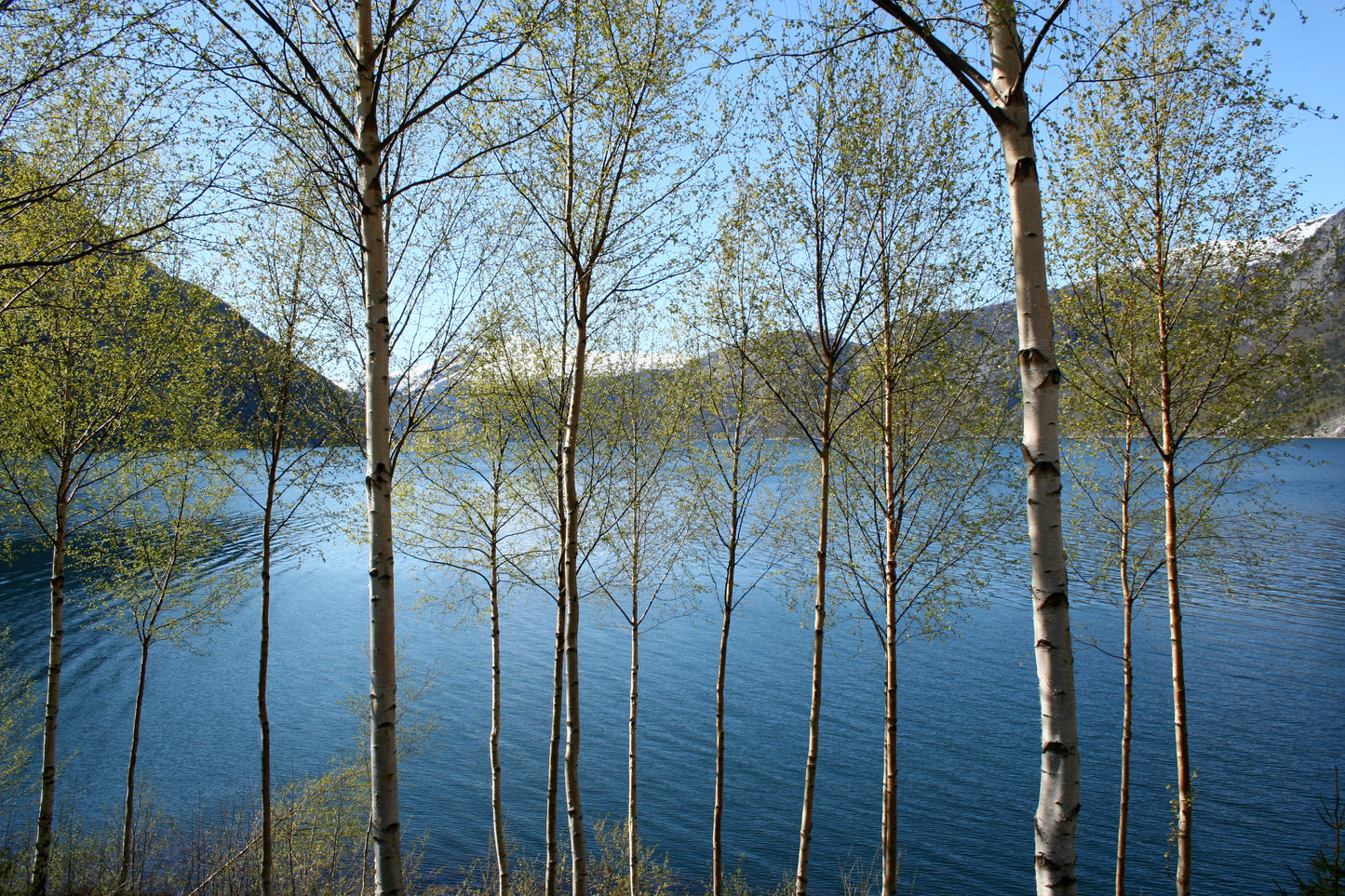 Original Photography - Tranquil Day in Norway