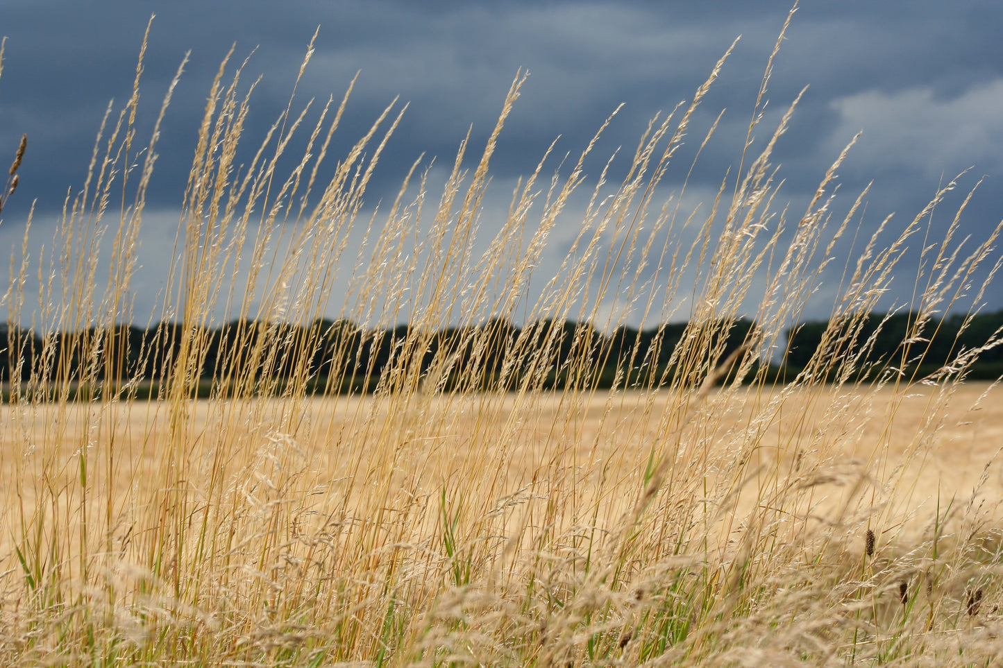 Original Photography - Clouds on a Summer's Day