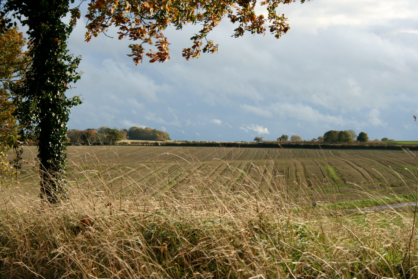Original Photography -  A Quiet Spot