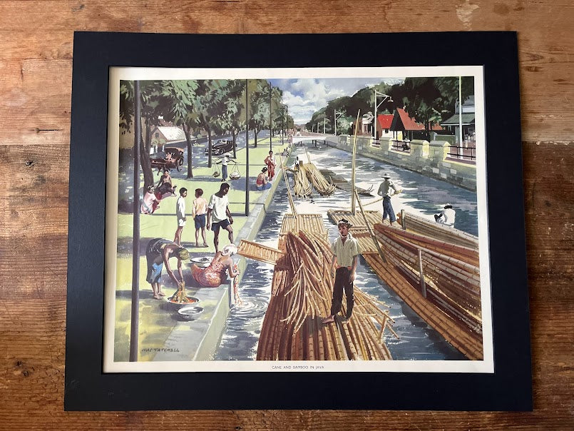 Vintage 1950s school poster - 'Cane and Bamboo in Java'