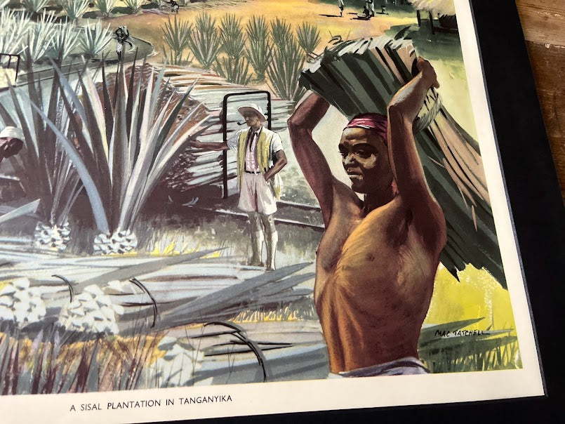 Vintage 1950s school poster - 'Sisal plantation Tanganyika
