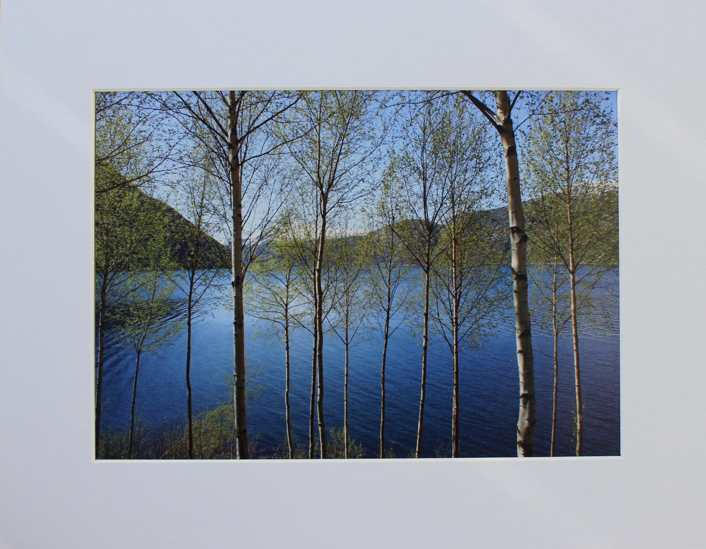 Original Photography - Tranquil Day in Norway