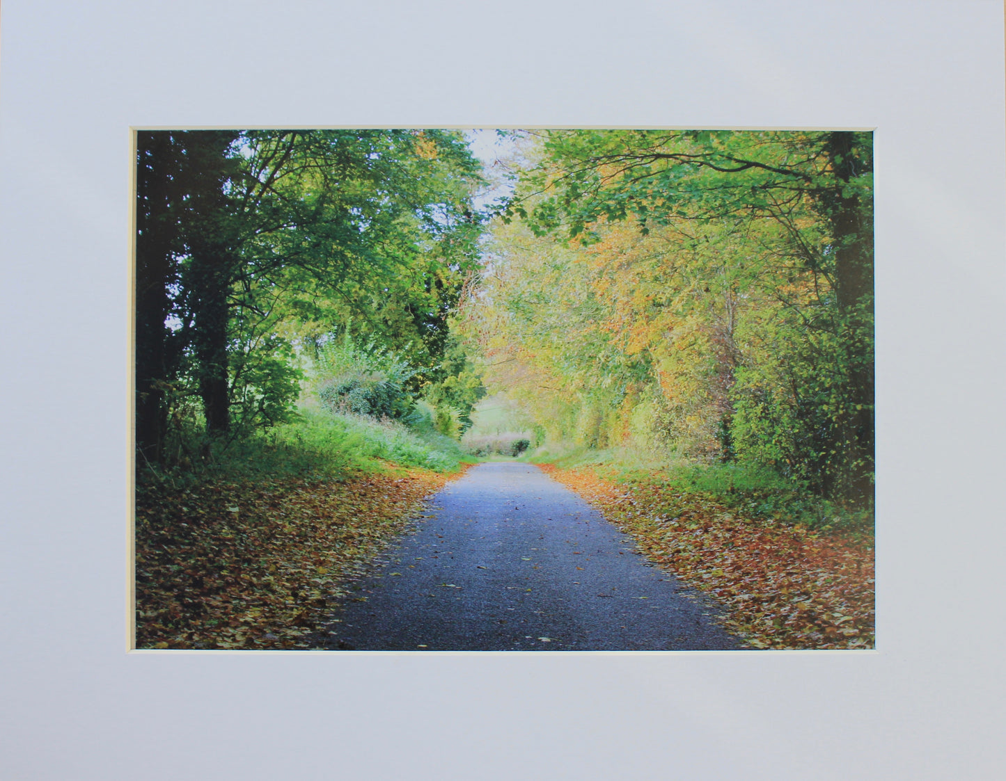 Original Photography - Autumn Country Road