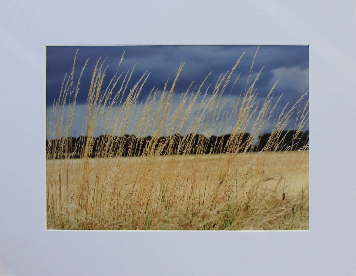 Original Photography - Clouds on a Summer's Day