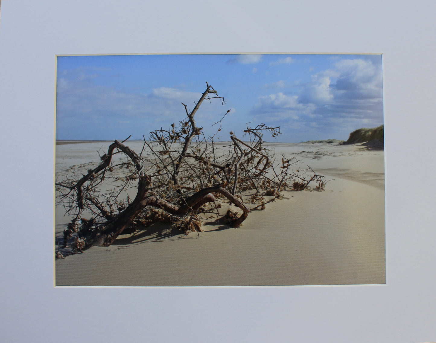 Original Photography - After the Storm