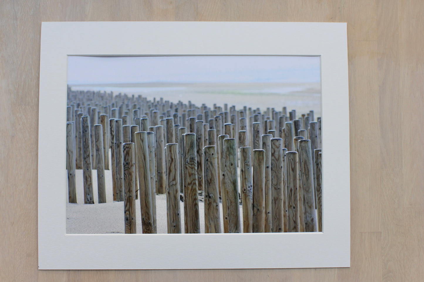 Original Photography - Coastal Sentinels