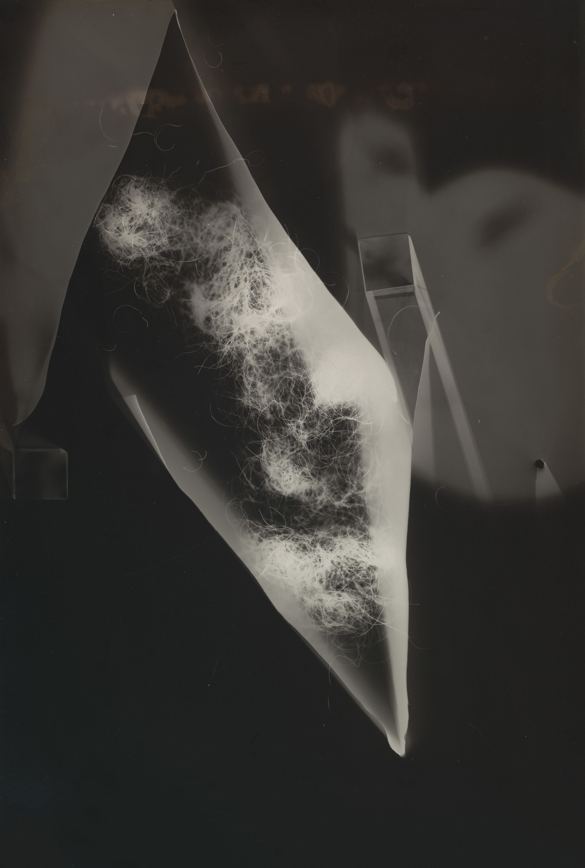 A sweeping leaf-like pale form with tangled textures floats diagonally across a dark background beside angular outlines.