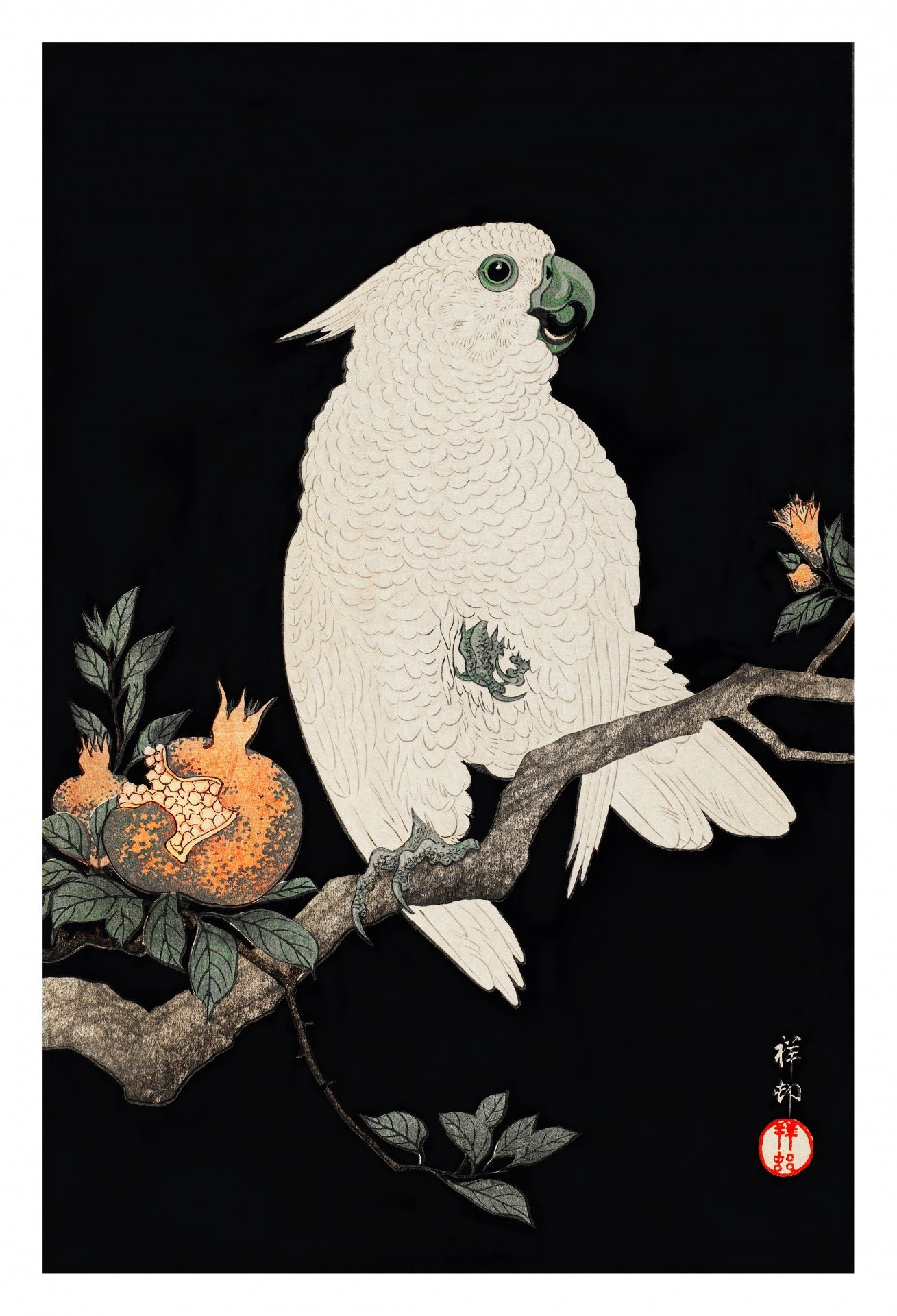 Kakadu Papagei Vintage parrot poster