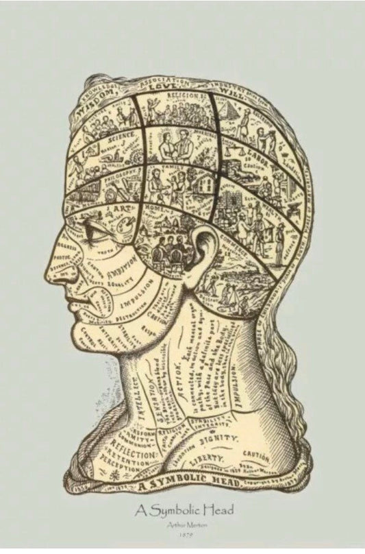 Vintage Phrenology poster - Arthur Merton 1879