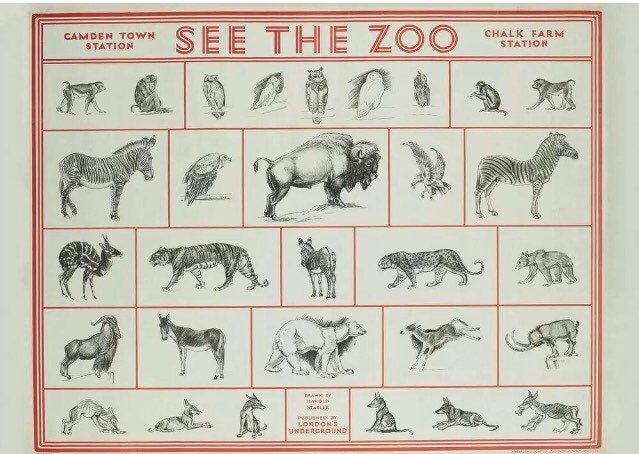 Vintage Advertising Poster - London Zoo, Art Deco, 1920
