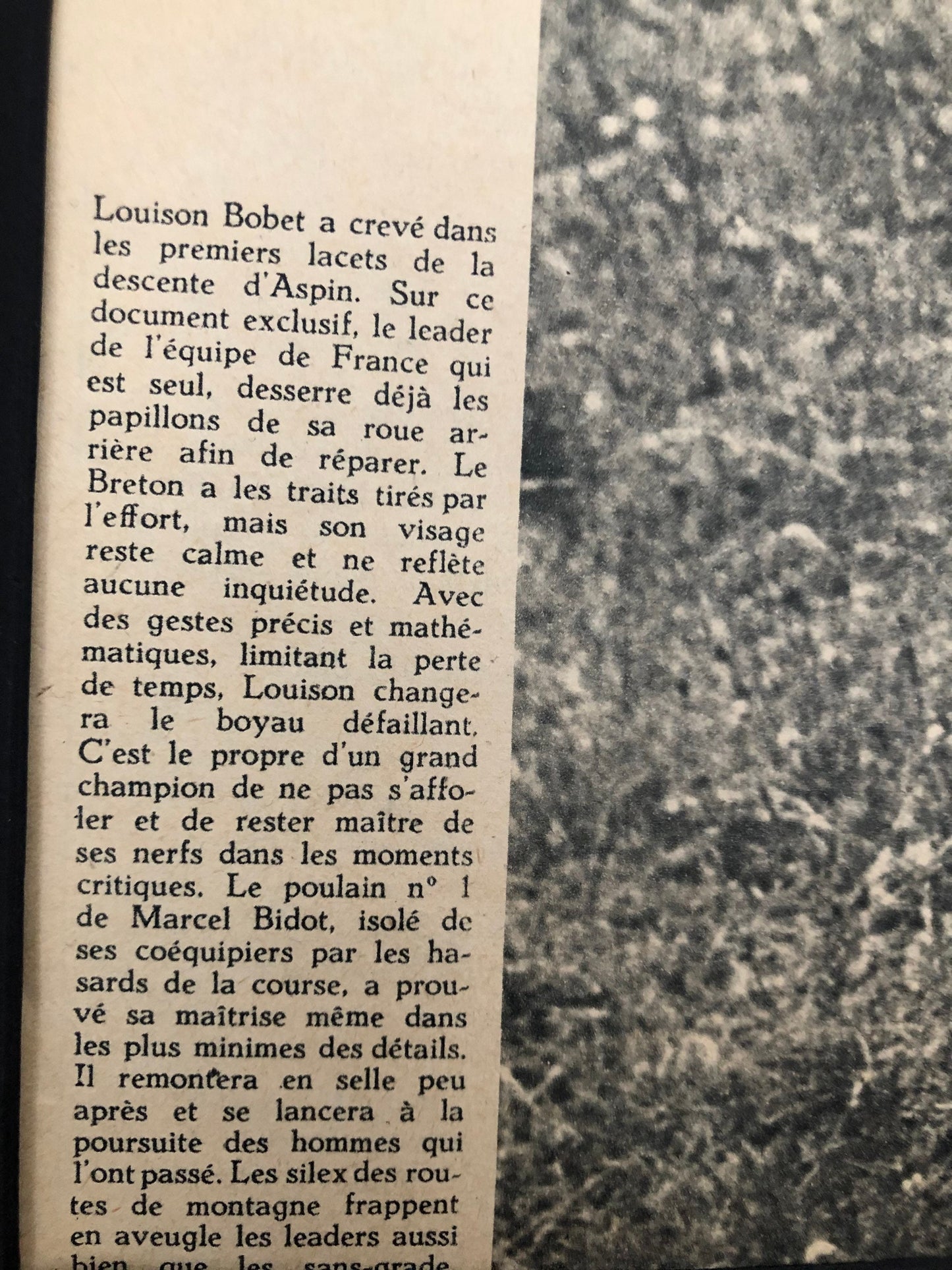 Vintage Cycling Print - Louison Bobet, Original, 1953