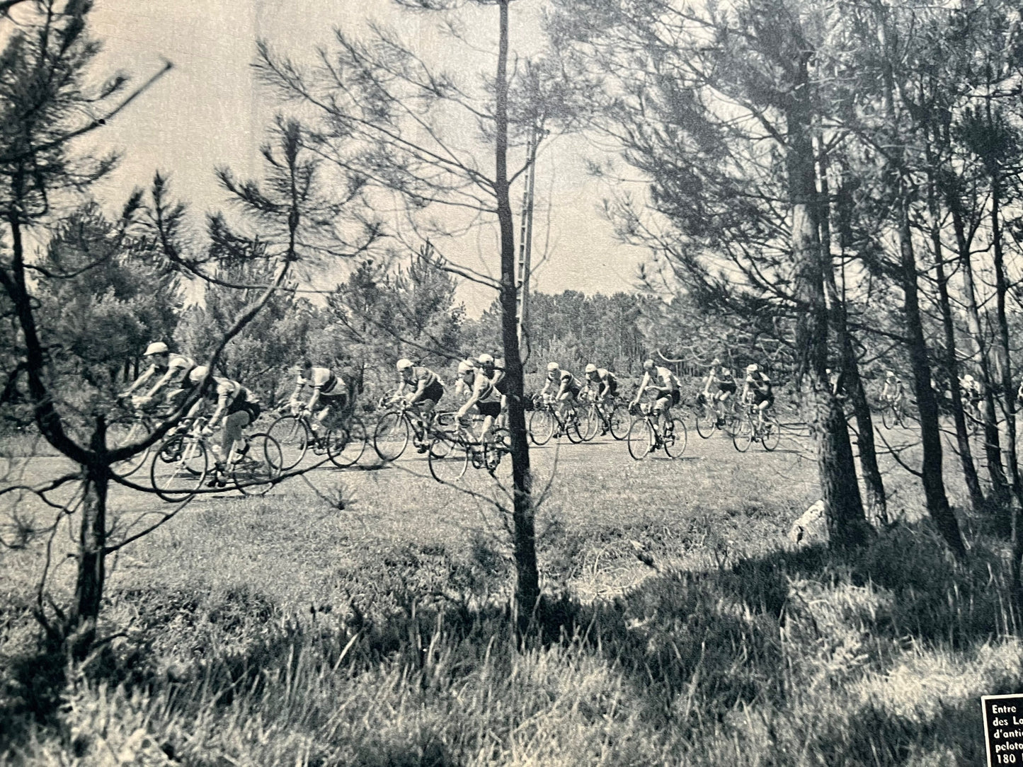 Vintage Cycling Print - Tour de France - La Rochelle, Original 1950s
