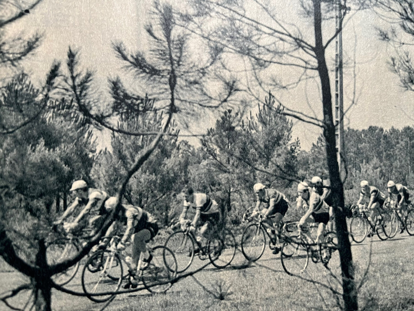 Vintage Cycling Print - Tour de France - La Rochelle, Original 1950s