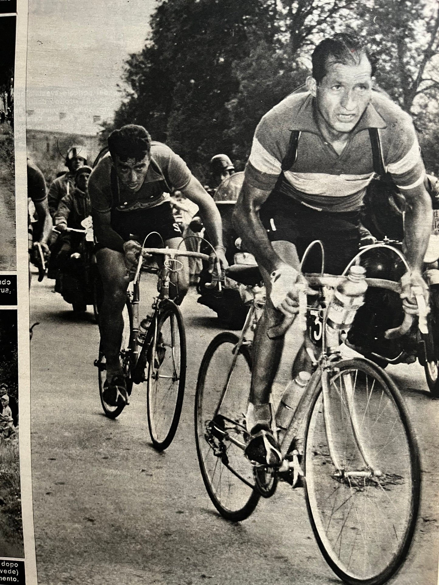 Vintage Cycling Print - Gino Bartali, Original 1953