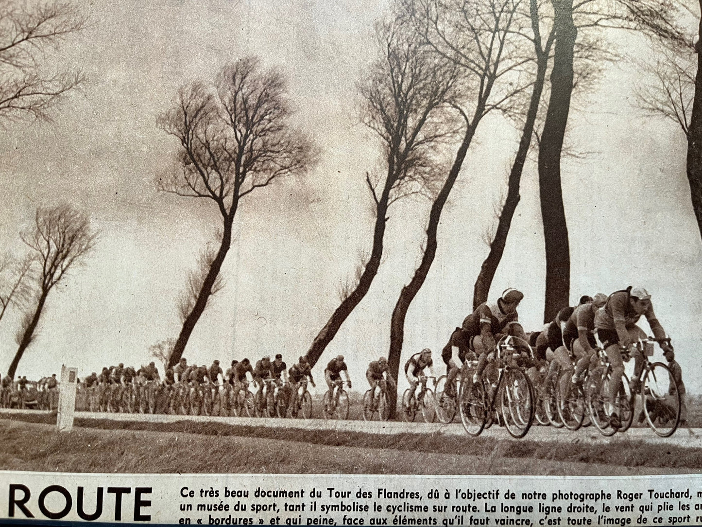 Vintage cycling print 1953 Tour de Flandres.
