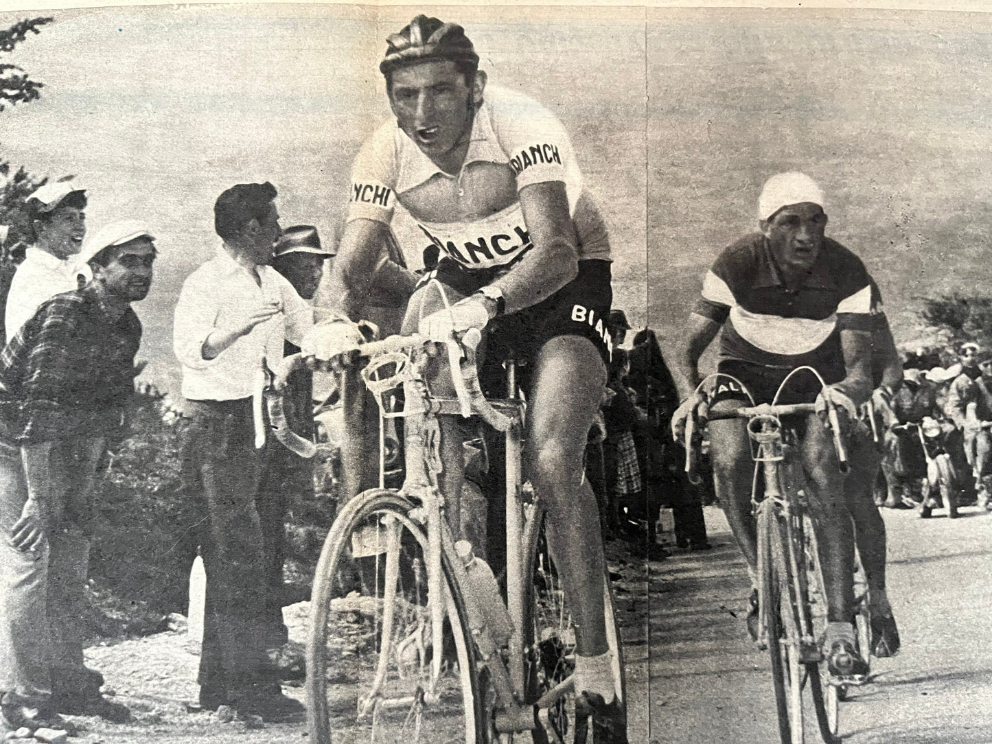 Vintage Cycling Print - Fausto Coppi/Gino Bartali, Original, Tour de France, 1953
