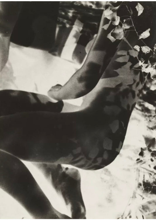 Vintage Design Poster - Bauhaus 'Nude', Laszlo Moholy Nagy, 1929