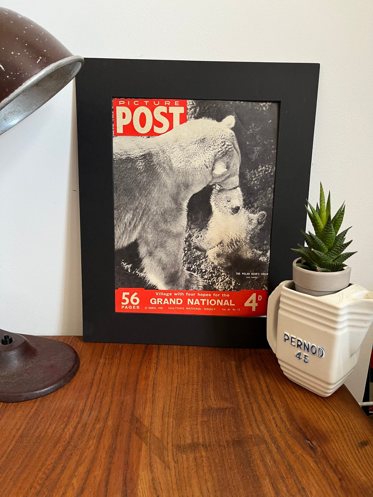 Vintage Magazine Cover - Picture Post, Polar Bears, Original 1950