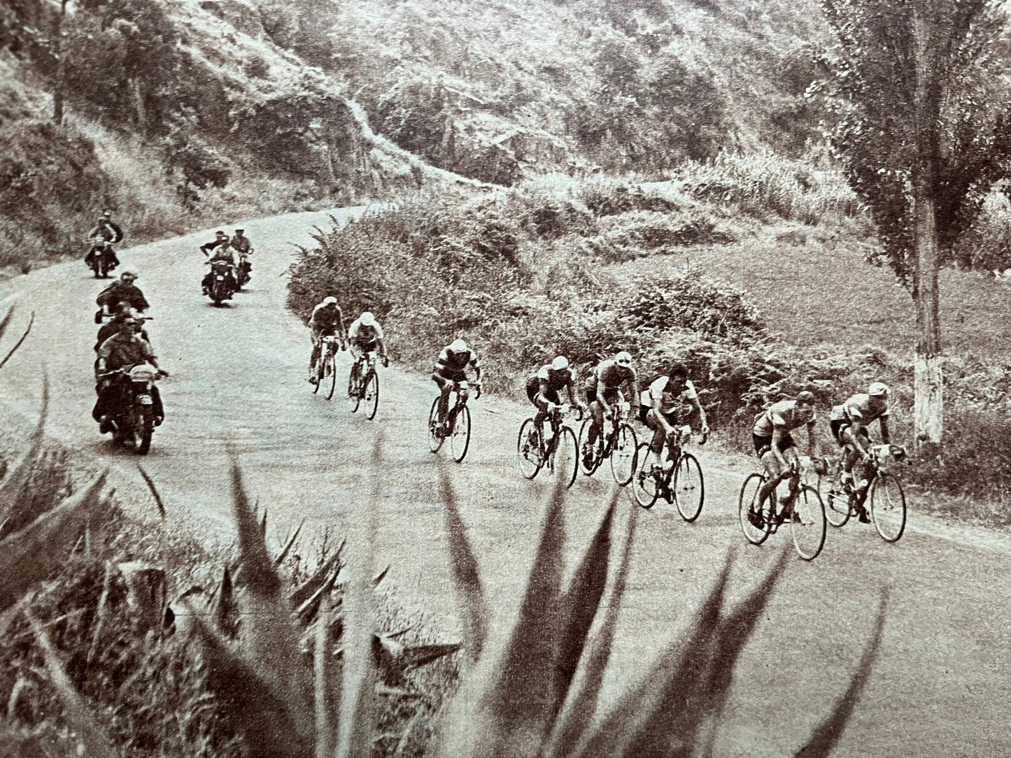 Vintage Cycling Print - Tour de France Peloton, Original 1950s