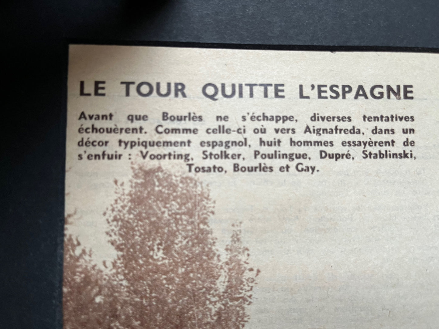 Vintage Cycling Print - Tour de France Peloton, Original 1950s