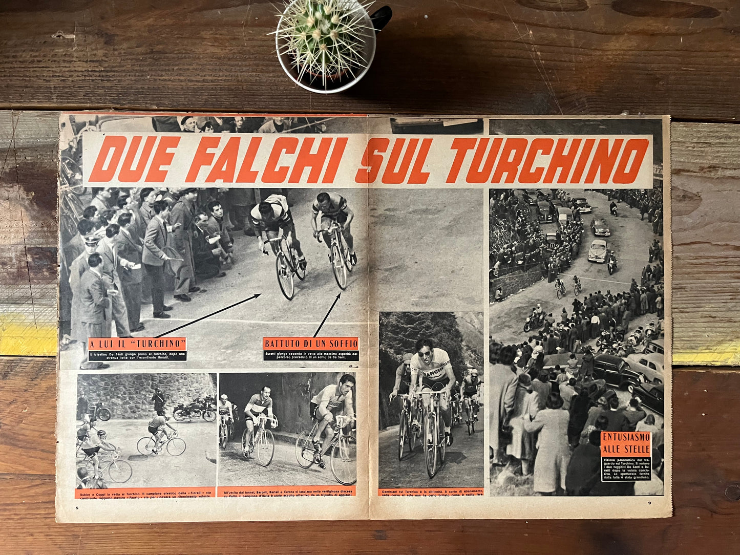 Vintage Cycling Print - 1953 Milan San Remo