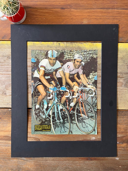 vintage cycling print Eddy Merckx Felice Gimondi
