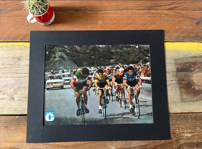 Vintage Tour de France  vintage cycling poster