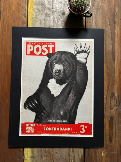 Vintage Magazine Cover - Russian Bear, Picture Post, Original 1940