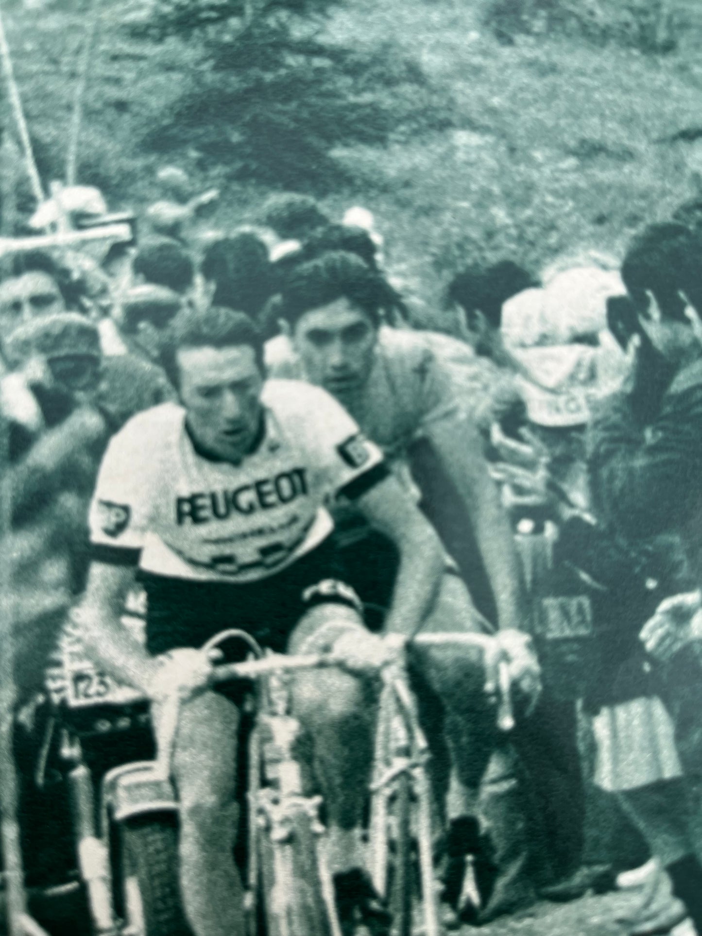 Eddy Merckx vintage cycling print 1970