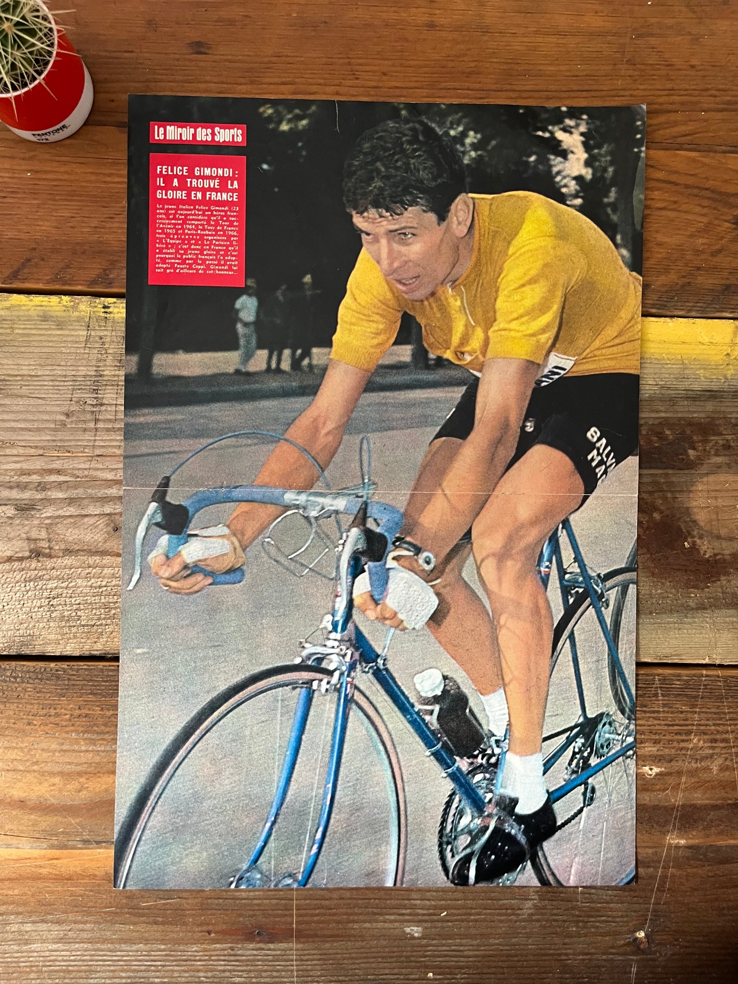 Felice Gimondi vintage cycling poster - 1966
