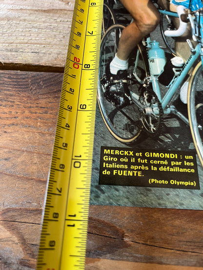 vintage cycling print Eddy Merckx Felice Gimondi