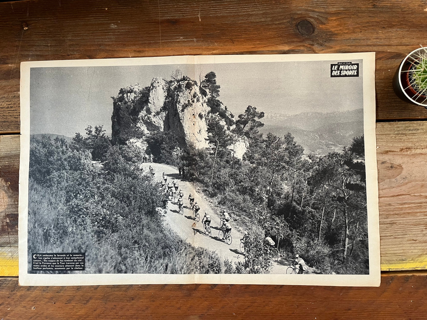 Tour de France vintage poster Provence c1963