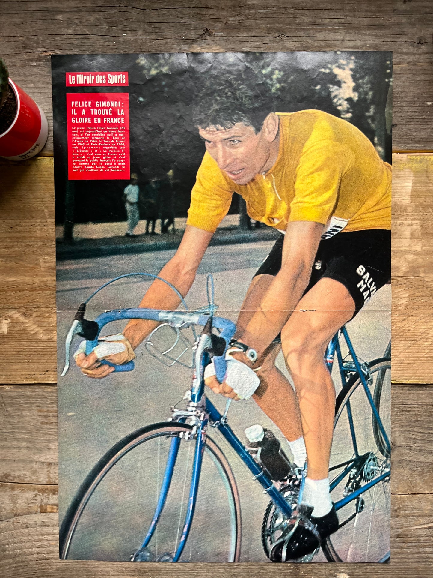 Felice Gimondi vintage cycling poster - 1966