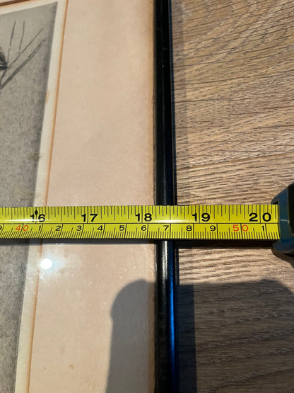 Oxford The high street JW King c1800s