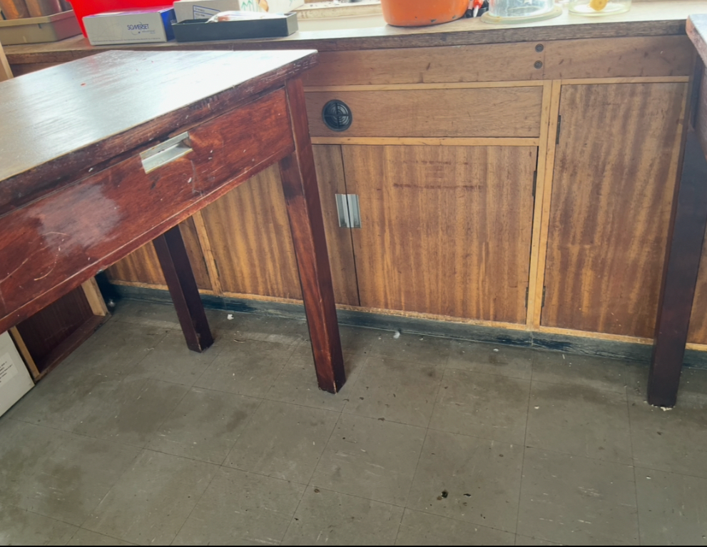 Iroko science lab table / desk from Smithdon school brutalist design c1954