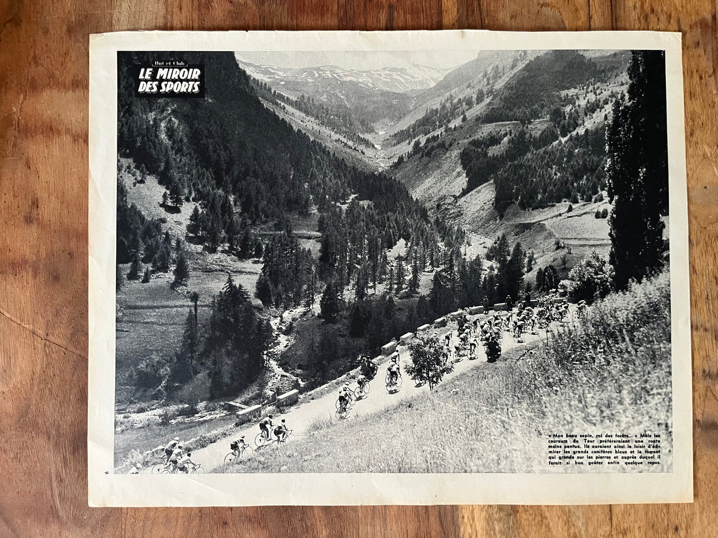 Vintage Tour de France cycling print c1958